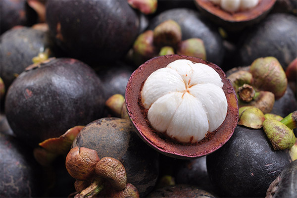 Le mangoustan dans la médecine traditionnelle