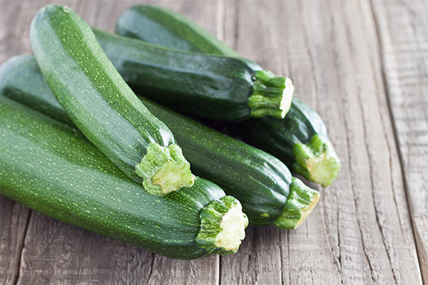 Nyttige egenskaber af zucchini