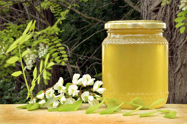 Propriétés bénéfiques du miel d'acacia blanc