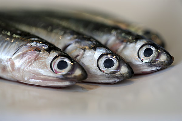 The benefits and harms of anchovies