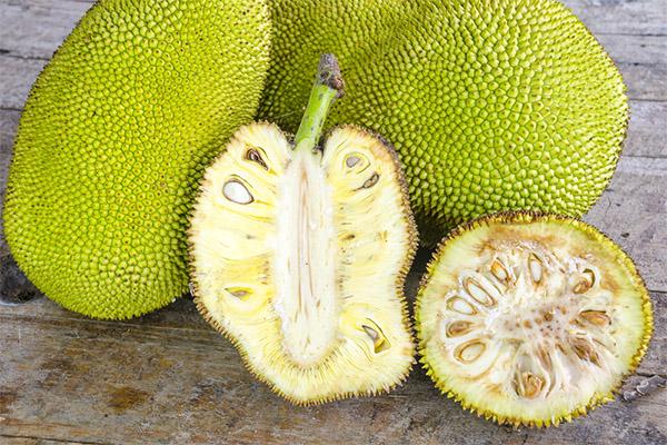 Benefits and harms of jackfruit