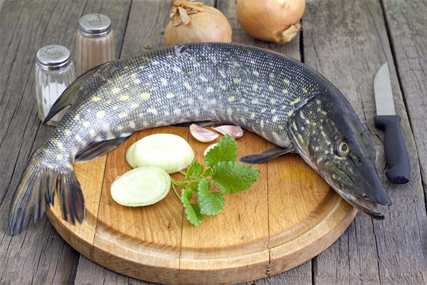 Benefits and harms of pike