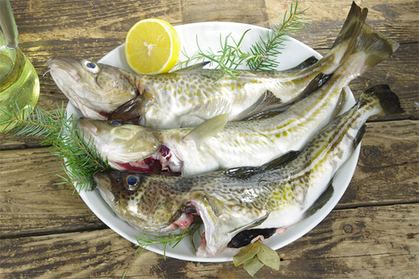 The benefits and harms of cod