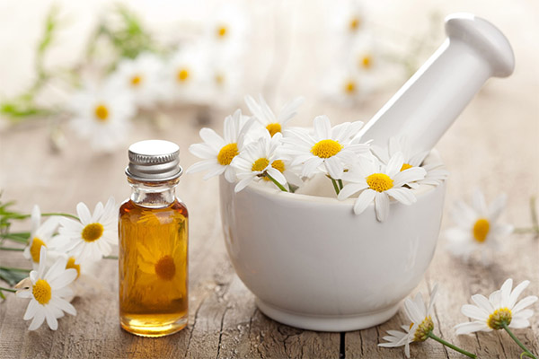 Use of Chamomile in cosmetology