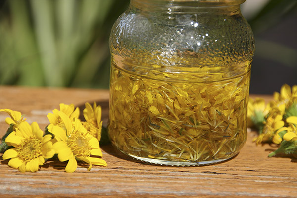 Healing compositions with arnica