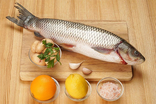 What are the benefits of grass carp?