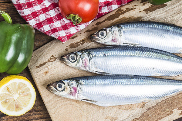 What can be cooked from sardines