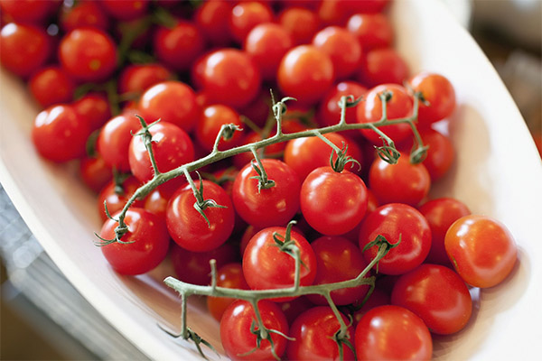 Zaujímavosti o cherry paradajkách
