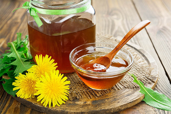 Comment prendre le miel de pissenlit