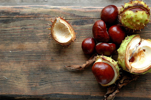 Therapeutic properties of horse chestnut