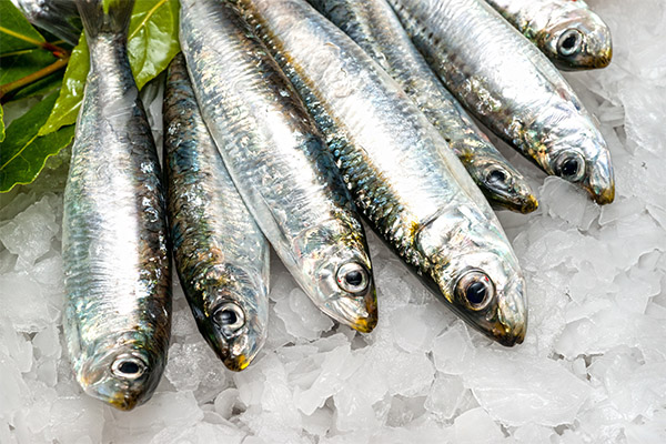 Useful properties of sardines