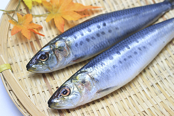The benefits and harms of sardines