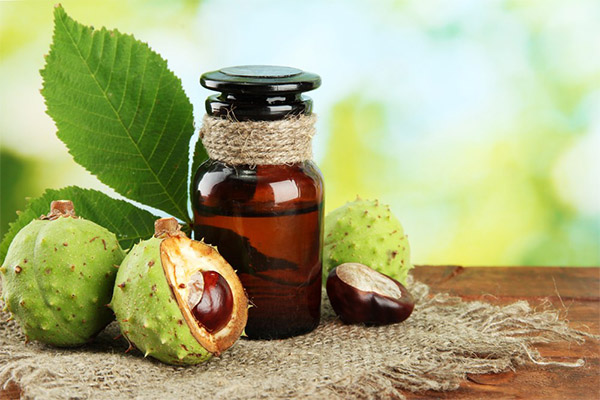 Chestnut medicinal compositions