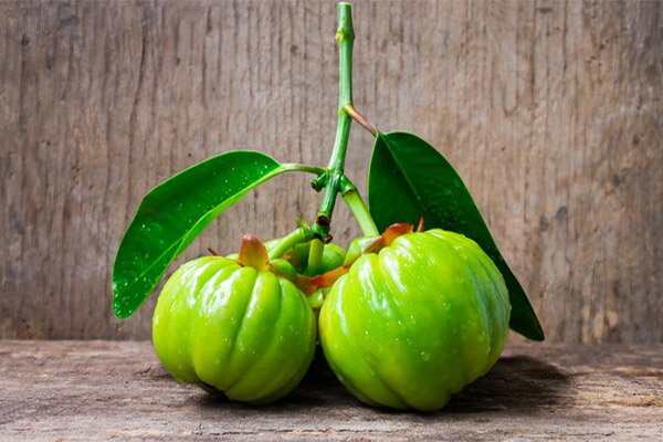 What can be made from Garcinia