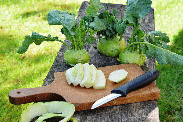 What can be cooked from kohlrabi