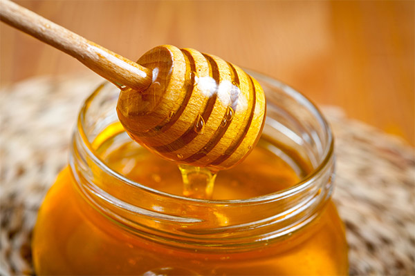 How honey affects the human body