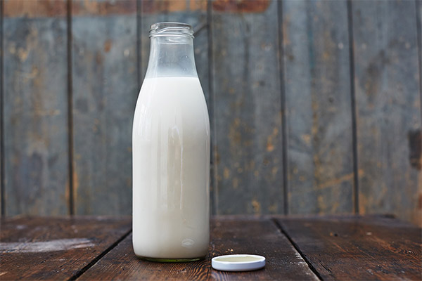 How milk affects the human body