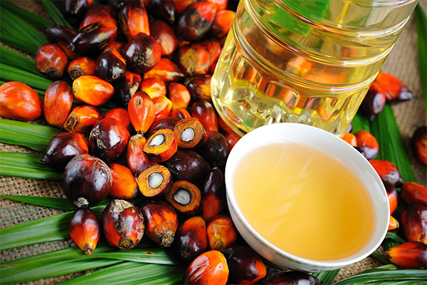 How palm oil affects the body