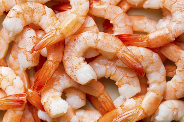 How to choose the right shrimp