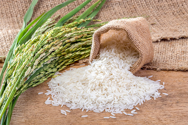 お米が人体に与える影響