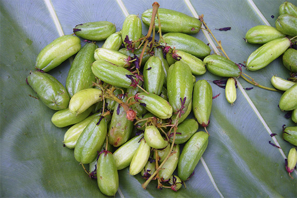Kulinariske anvendelser af Bilimbi-frugt