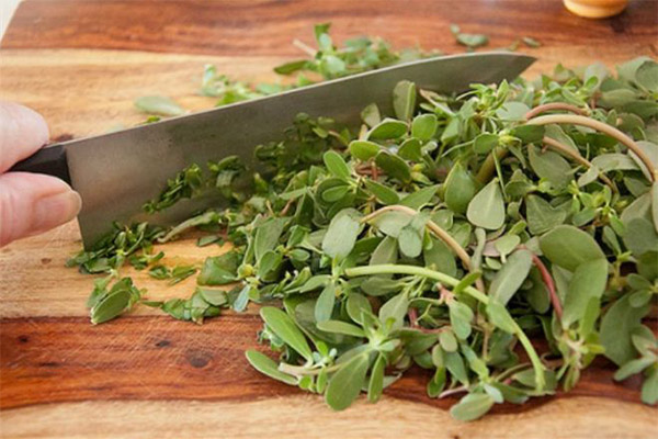 The use of purslane in cooking