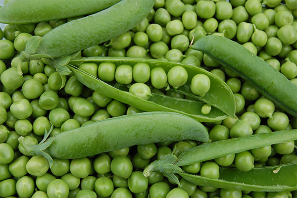 Contraindications for eating peas