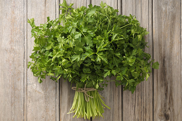 Interesting facts about parsley