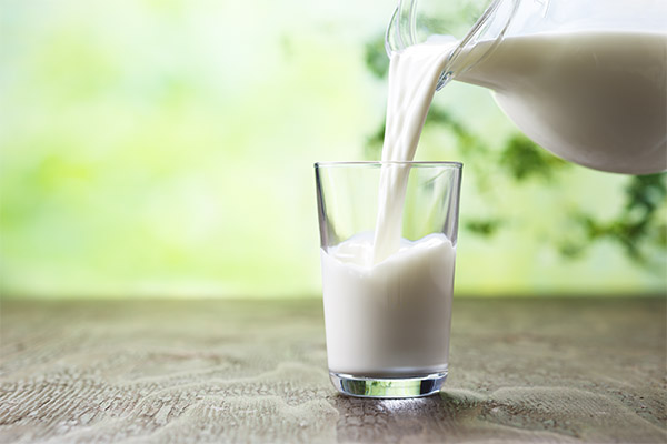 Sådan identificerer du palmeolie i mælk