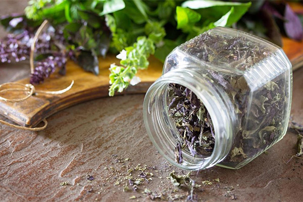 How to Store Dried Basil