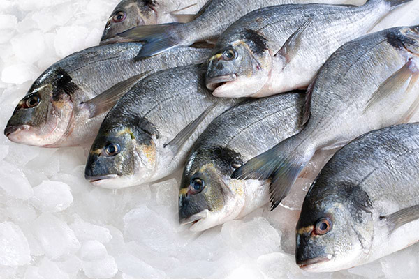 How to defrost fish quickly and properly