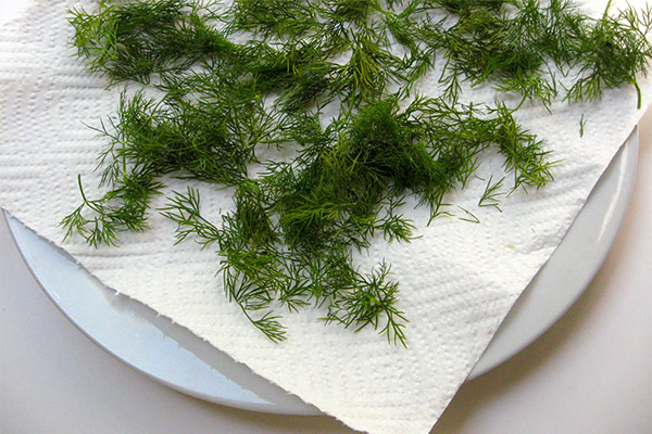 How to Dry Dill