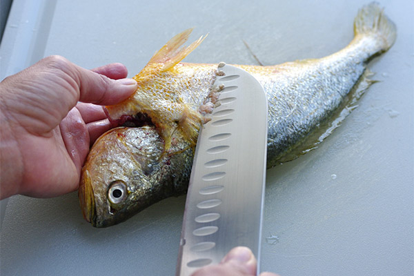 How to Cut Fish