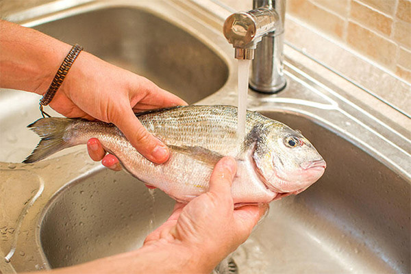 How to defrost fish in water