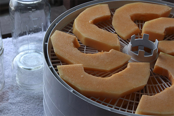 Comment faire sécher un melon dans un séchoir électrique