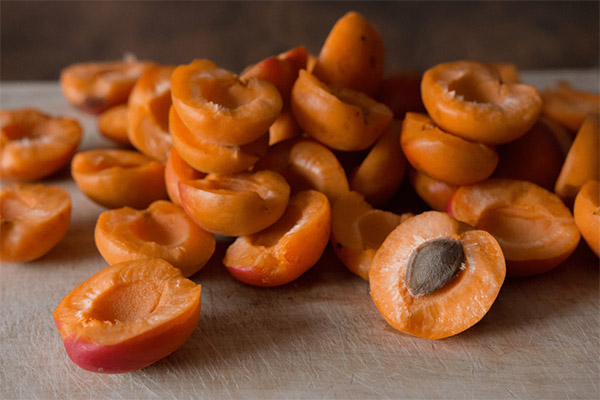 Jak sušit meruňkové pecky