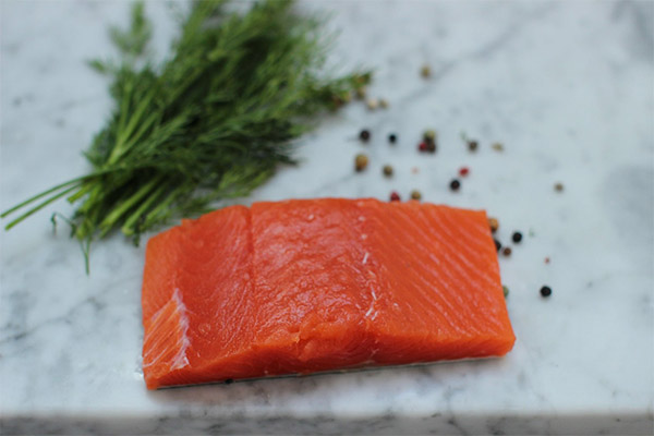 How to salt coho salmon