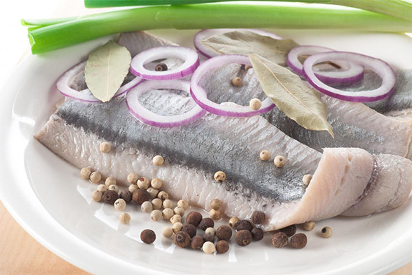 How to salt herring with vinegar and onions