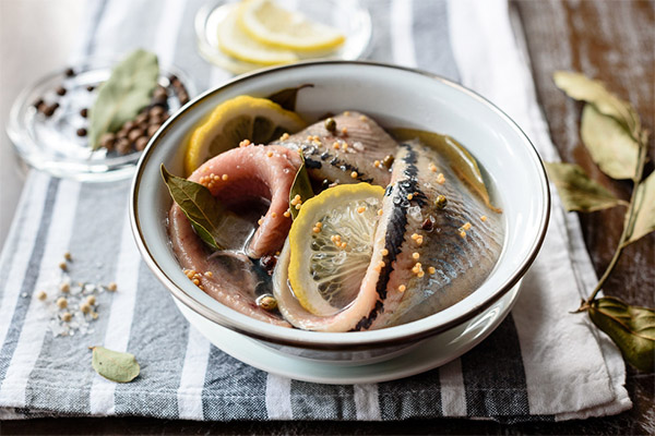 How to Salmon Herring with Spices