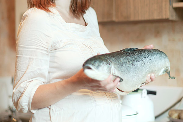 妊婦に良い魚は？