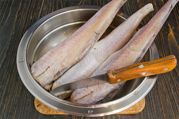 Kann ich aufgetauten Fisch einfrieren?