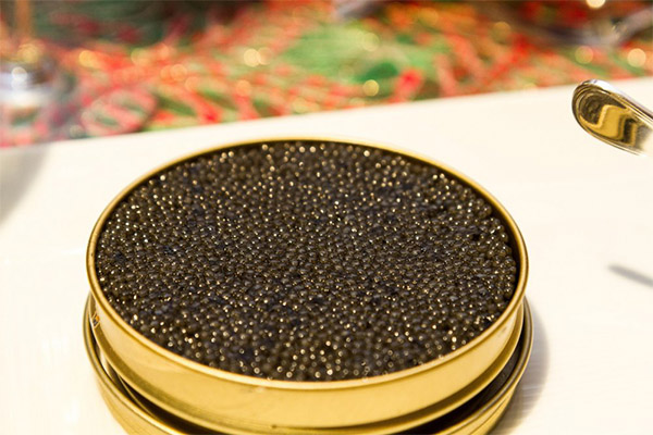 Grundlæggende regler for konservering af sort kaviar
