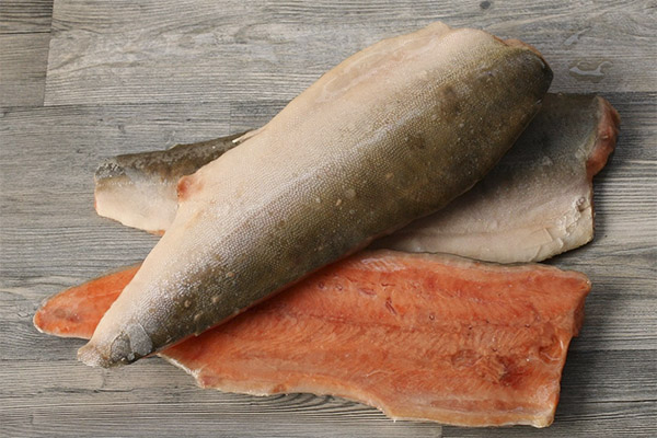 Useful properties of coho salmon