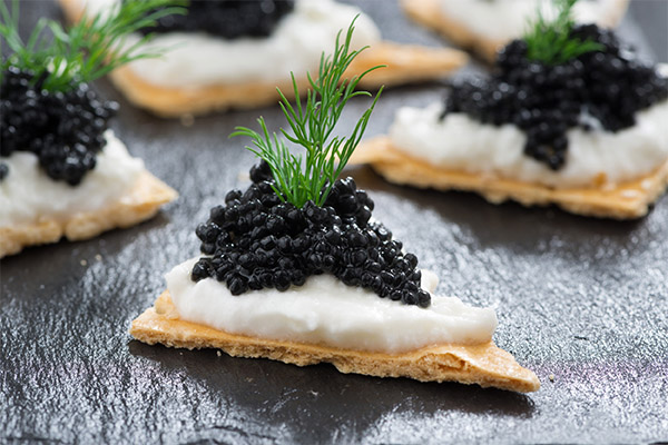 Opskrifter på retter med sort kaviar
