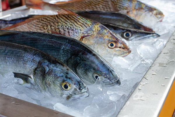 Hvor længe kan en optøet fisk holde sig i køleskabet?