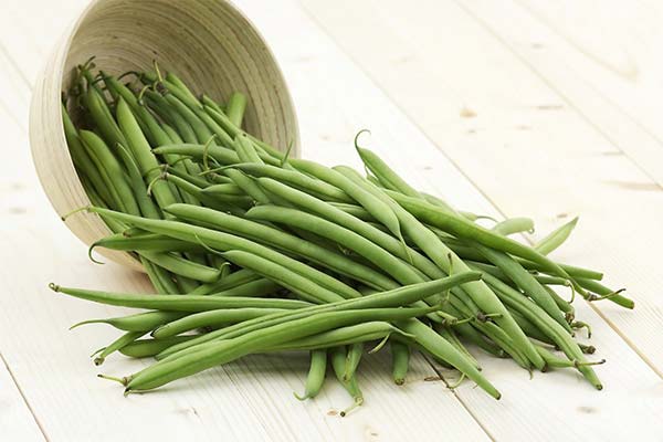 What are the dangers of string beans during lactation