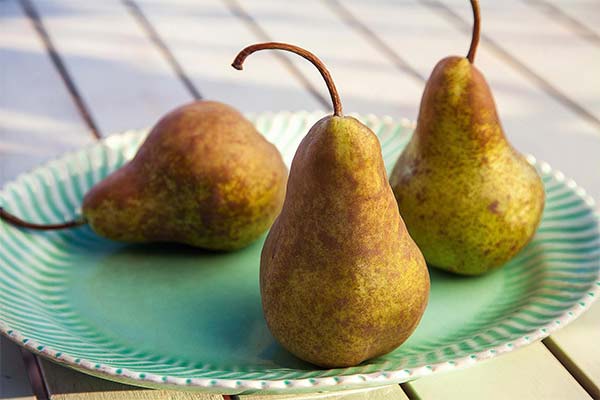 What are the dangers of pears during lactation?