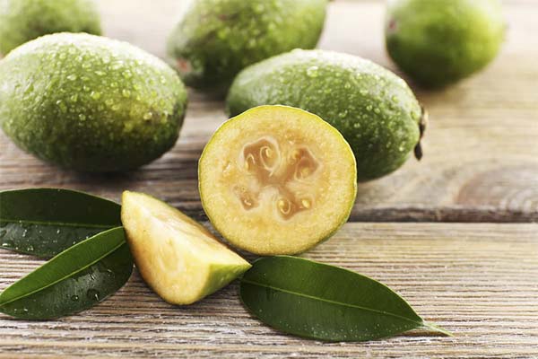 What is useful for feijoa
