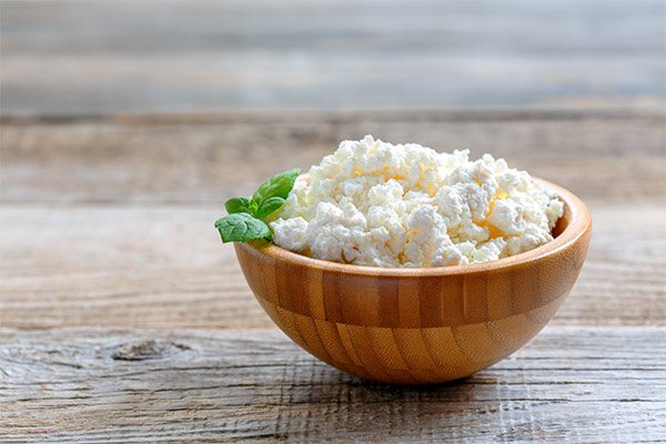 What is the benefits of cottage cheese