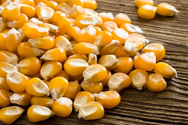 What are the benefits of dried corn